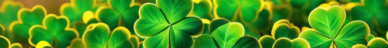 website offer headers